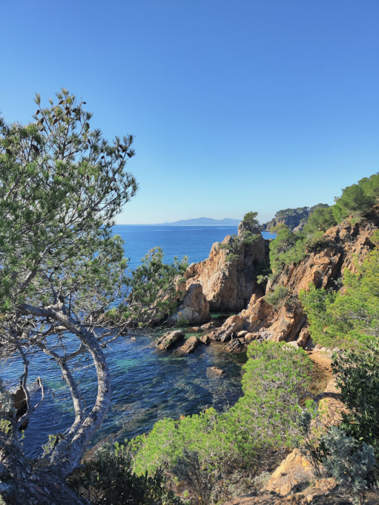 Le littoral varois est ses criques bleutées menacés par le tourisme de masse.