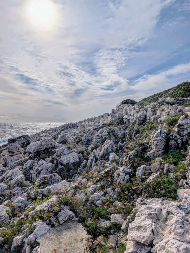 Les roches calcaires de la balade côtière du tour du Cap-Ferrat.