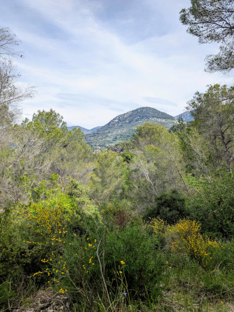 Vue depuis le circuit de Lourquière.
