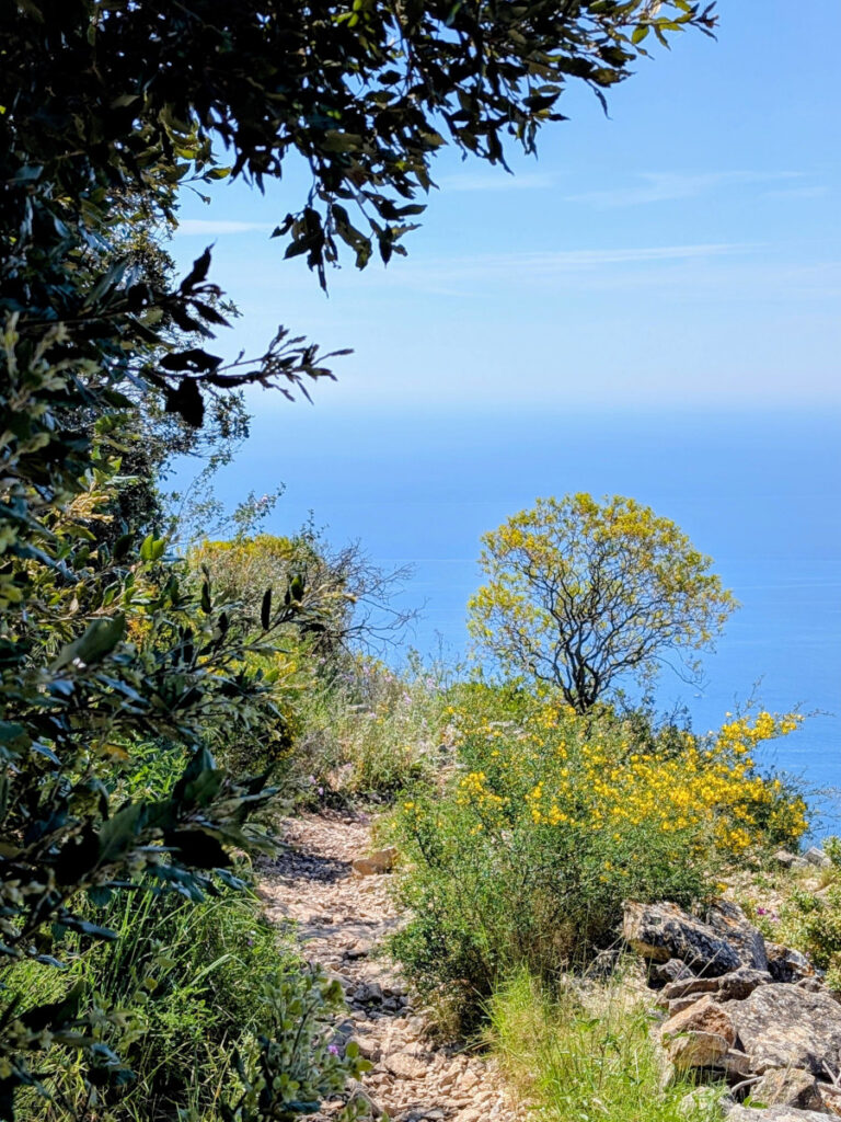Sentier de randonnée du tour de la tête de chien à La Turbie.