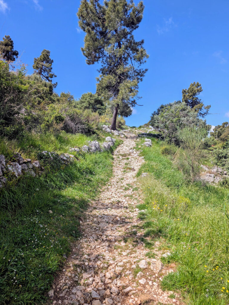 Sentier du tour du mont Chauve.