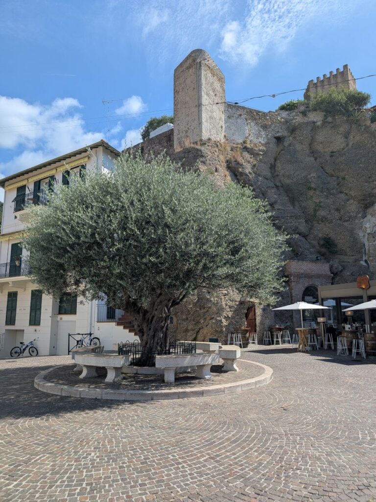 Le château médiéval de Roquebrune-Cap-Martin.