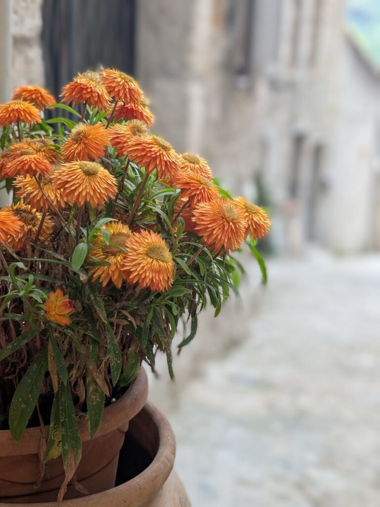 Visiter Sainte-Agnès et ses ruelles fleuries.