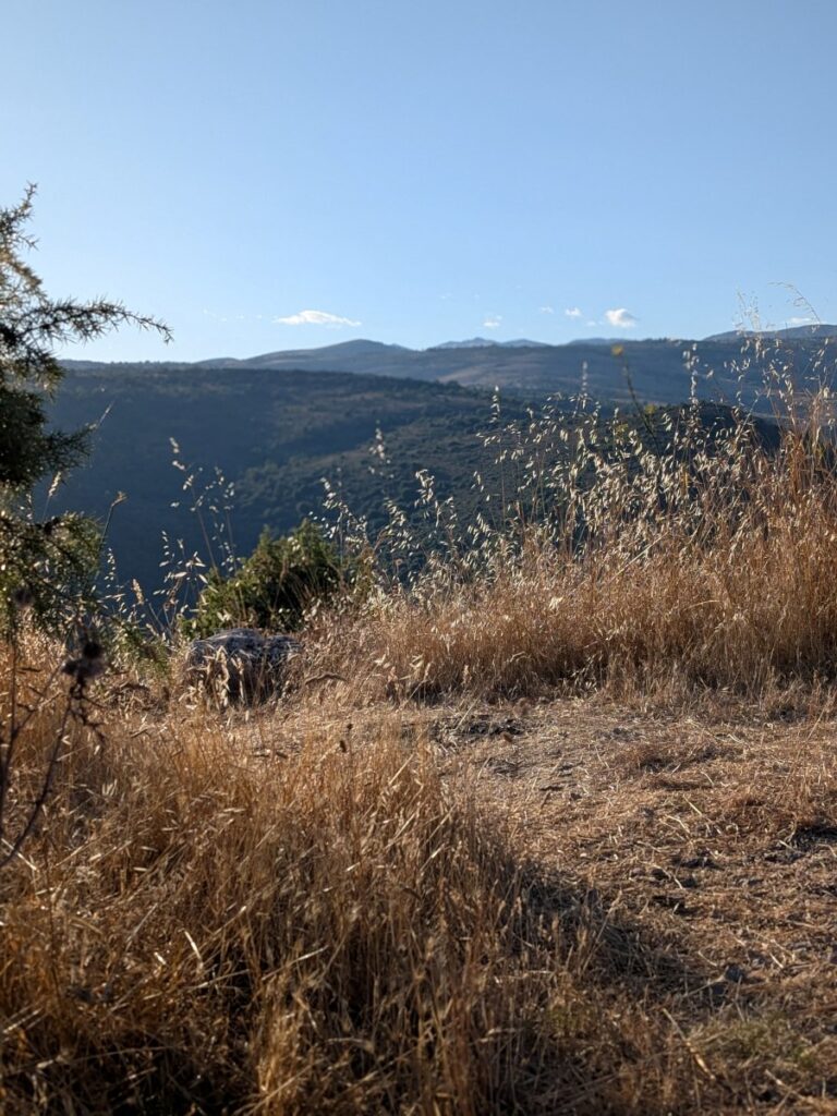 Le Baou des Blancs à Vence.