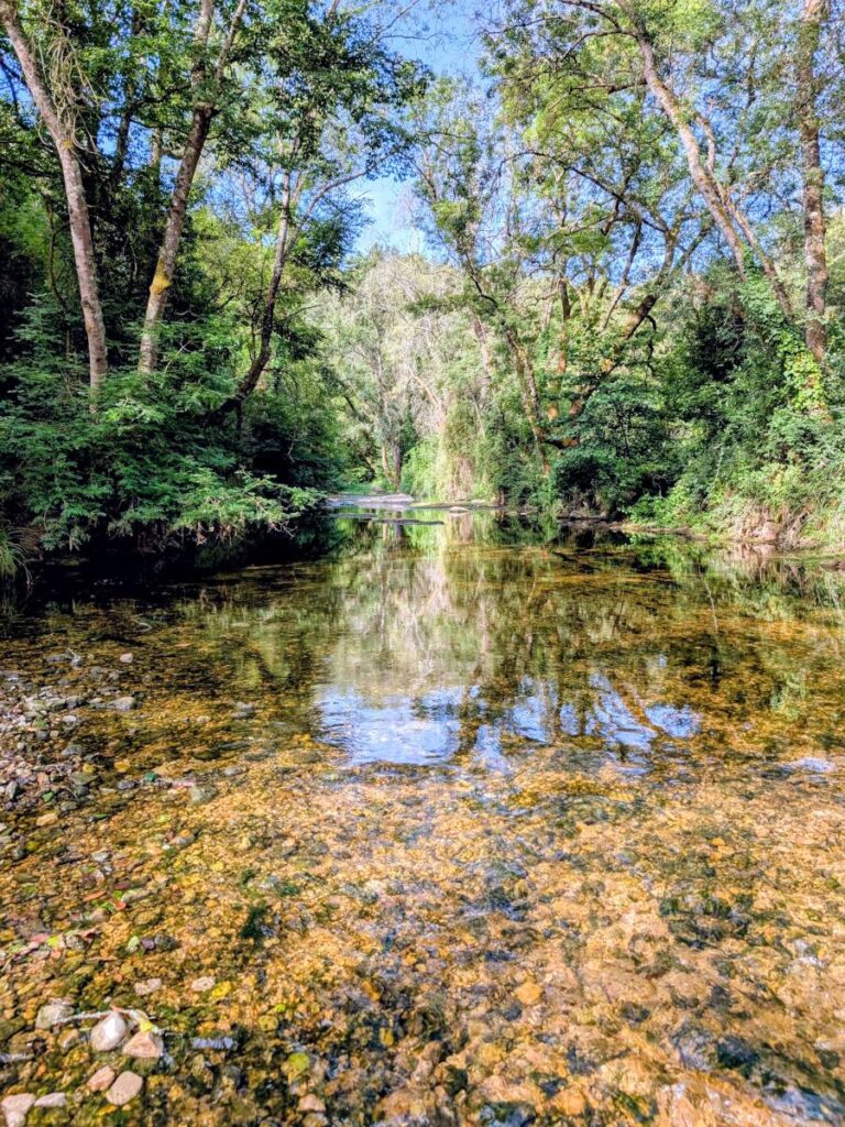 La Brague sur le sentier de la Brague.
