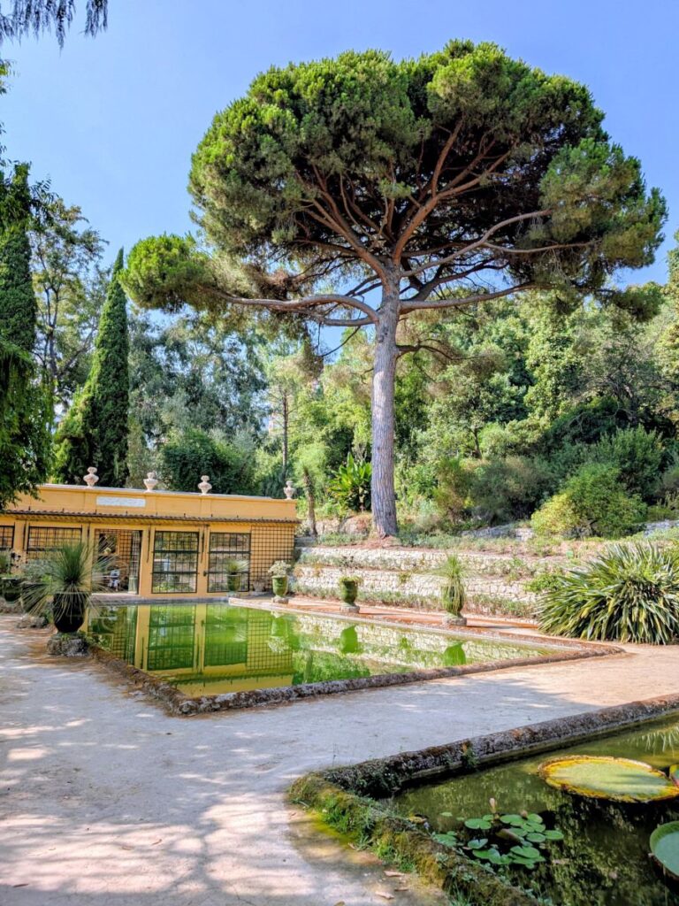 Sentier et bassins au jardin serre de la Madone.