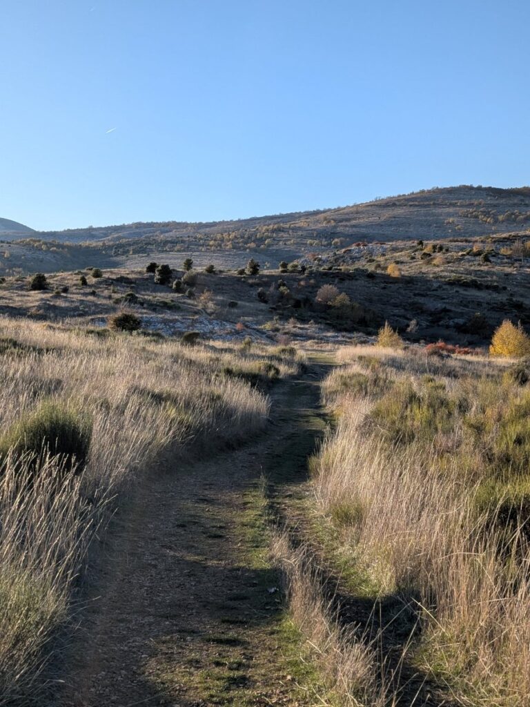 Sentier de la randonnée au plan des noves.