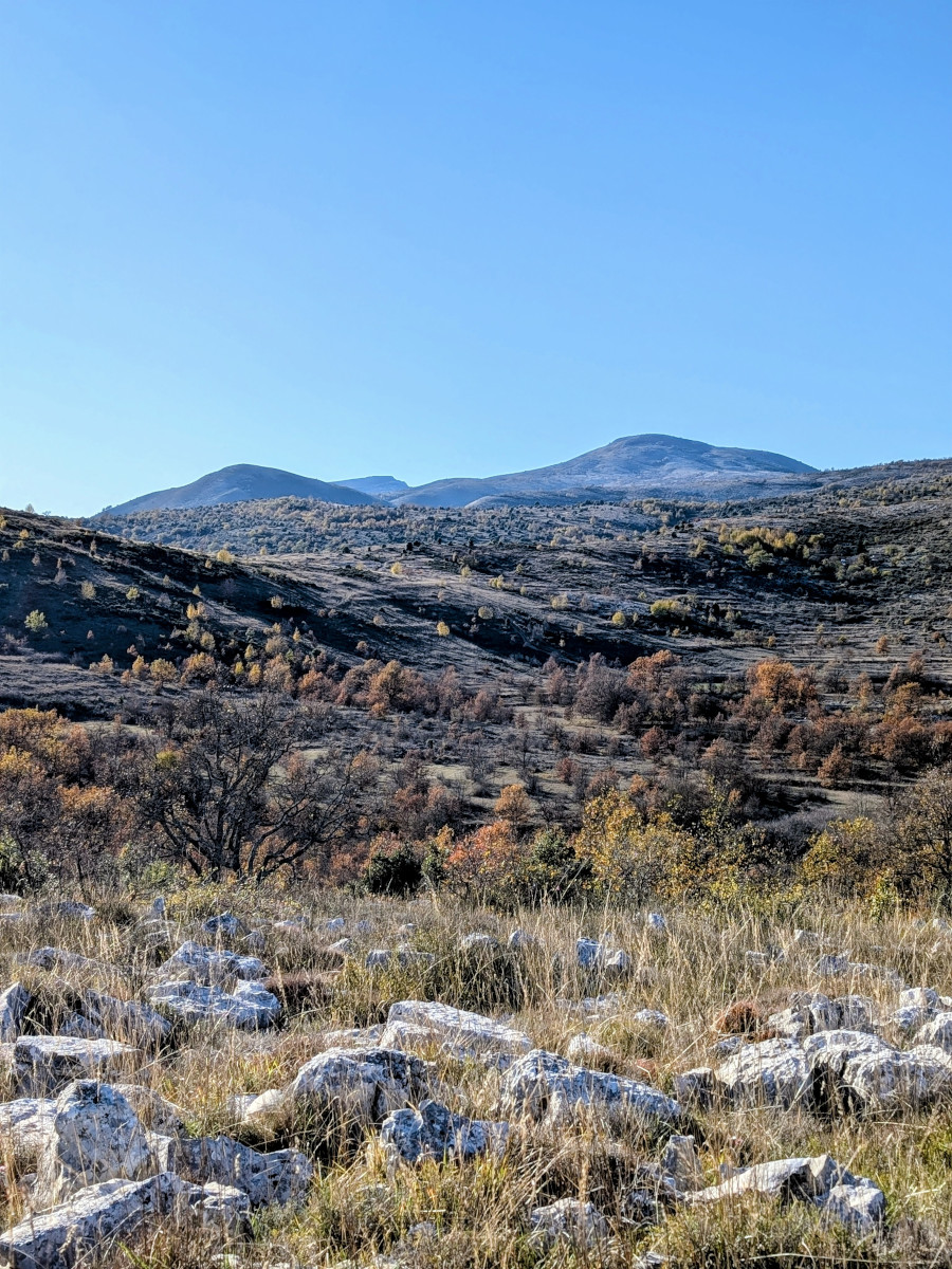 Les collines aux couleurs automnales au Plan des Noves.
