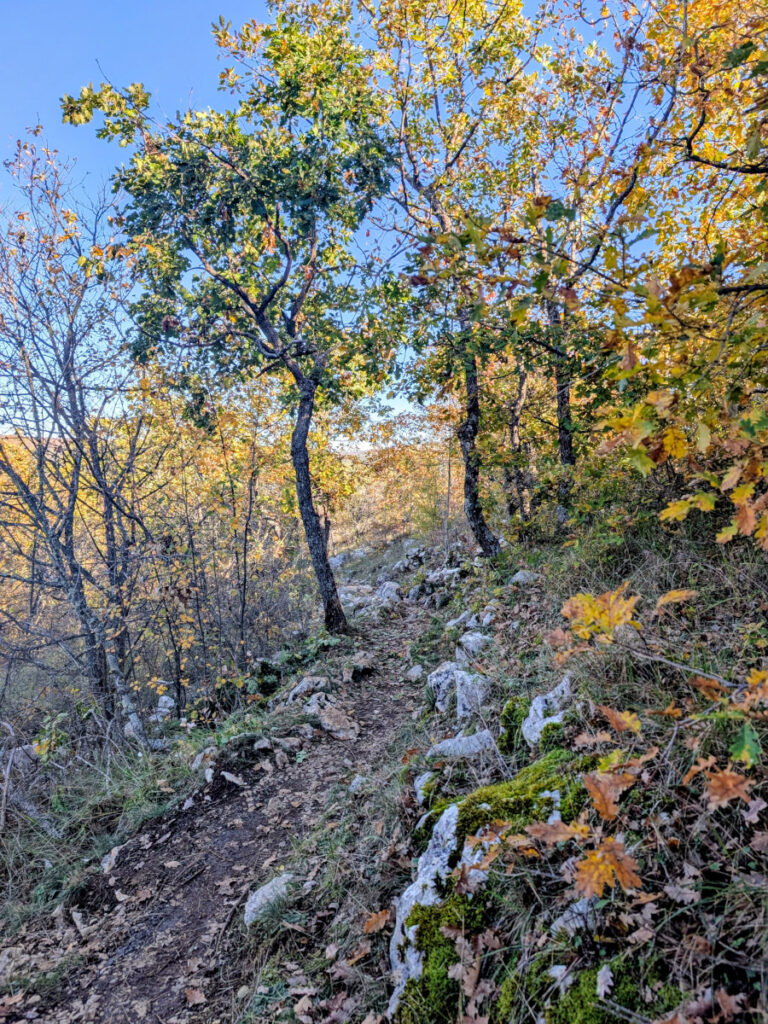 Sentier de la randonnée du Plan des Noves.