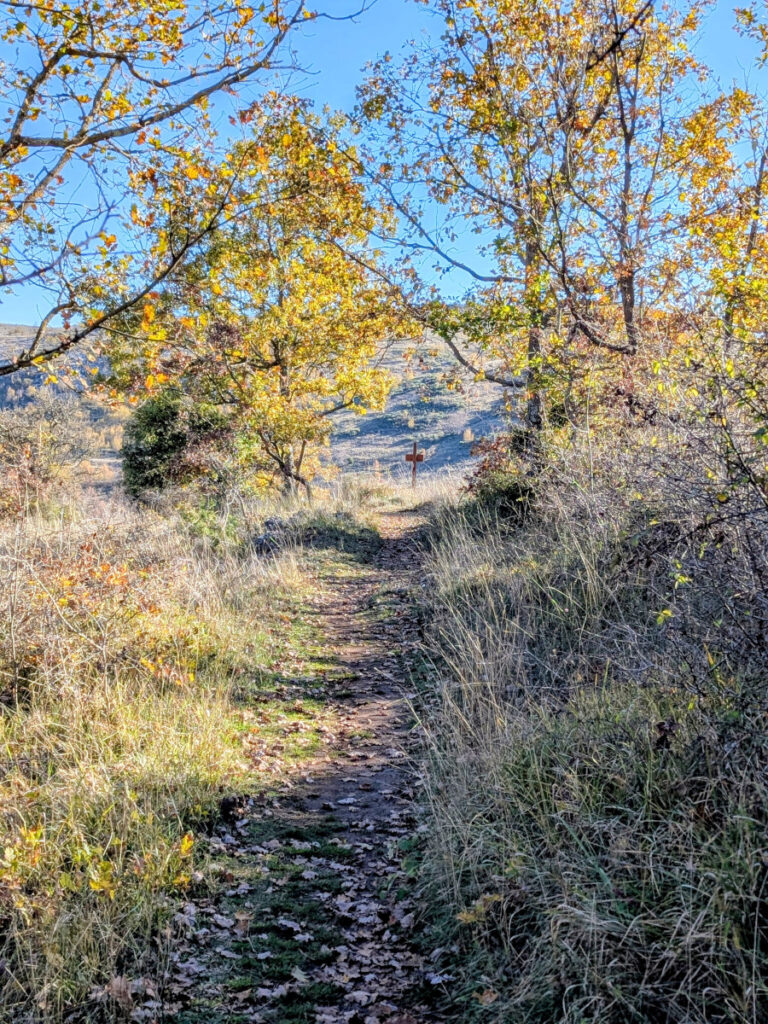 Chemin de la randonnée du Plan des Noves.
