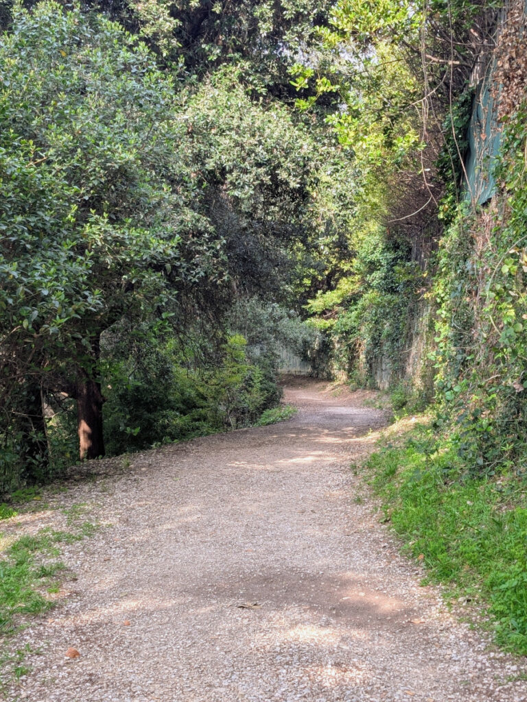 Le chemin du canal de la Siagne sur les hauteurs de Cannes.