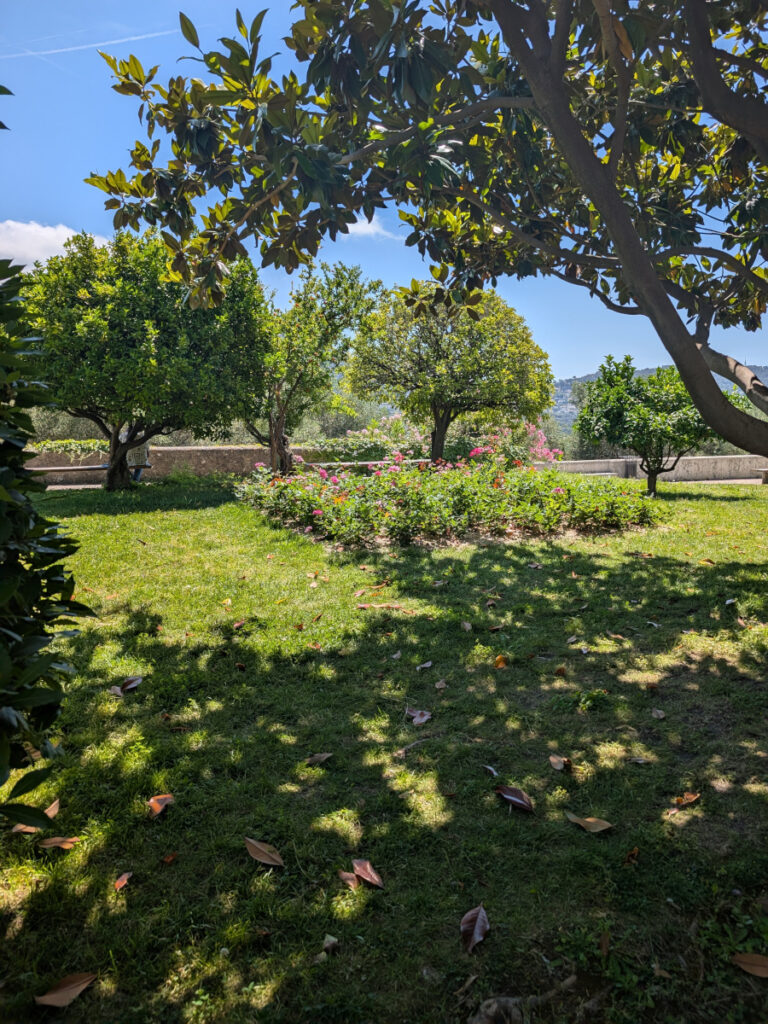 Le jardin.