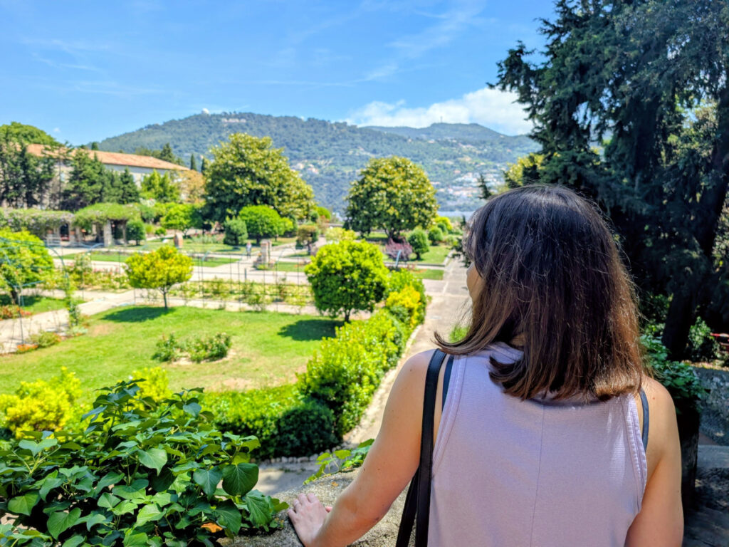 Pieds d'Azur au jardin du Monastère de Cimiez à Nice.