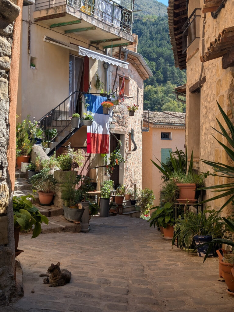 Un chat allongé dans une ruelle du village de Lucéram.